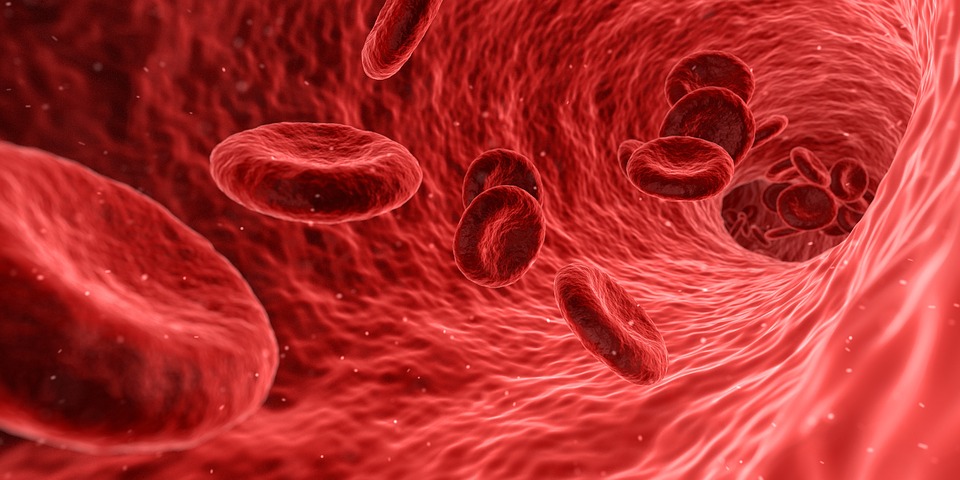 z-Biomedikal